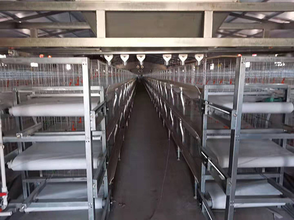 龍門(mén)行車(chē)試喂料機(jī)
